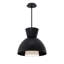 Carafe 1 - Light LED Pendant