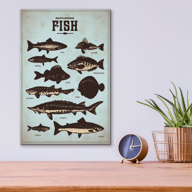 «Vintage Fish Affiche» par Epic Portfolio, art mural en verre acrylique, H 16 po x l 12 po x P 0,13 po