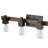 Phoenix 4 - Light Dimmable Vanity Light