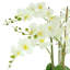 Orchid Floral Arrangement in Vase