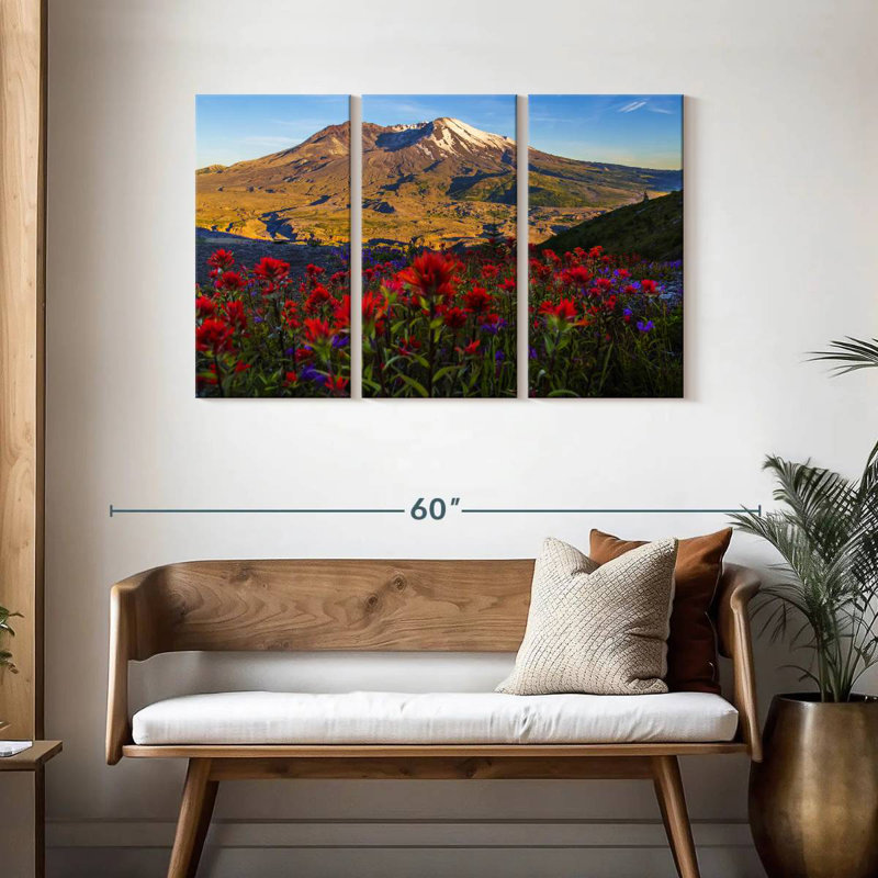 Alvord Mt. St. Helens du point de vue de Loowit, H 28 po x l 45 po