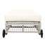 Outdoor Chaise Lounge-1893903750
