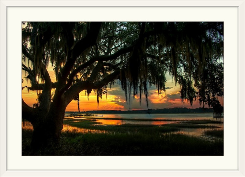 «Savannah Evening» par Mccaw, Natalie Mikaels, reproduction de photo, H 28 po x l 38 po x P 1 po, Cadre blanc