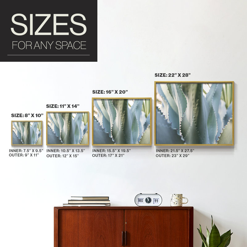Blue Agave II -Framed Print - Restickable, 22" H x 28" W