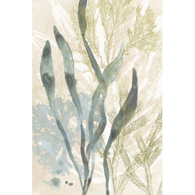 " Vintage Ocean Jewels II " by June Erica Vess