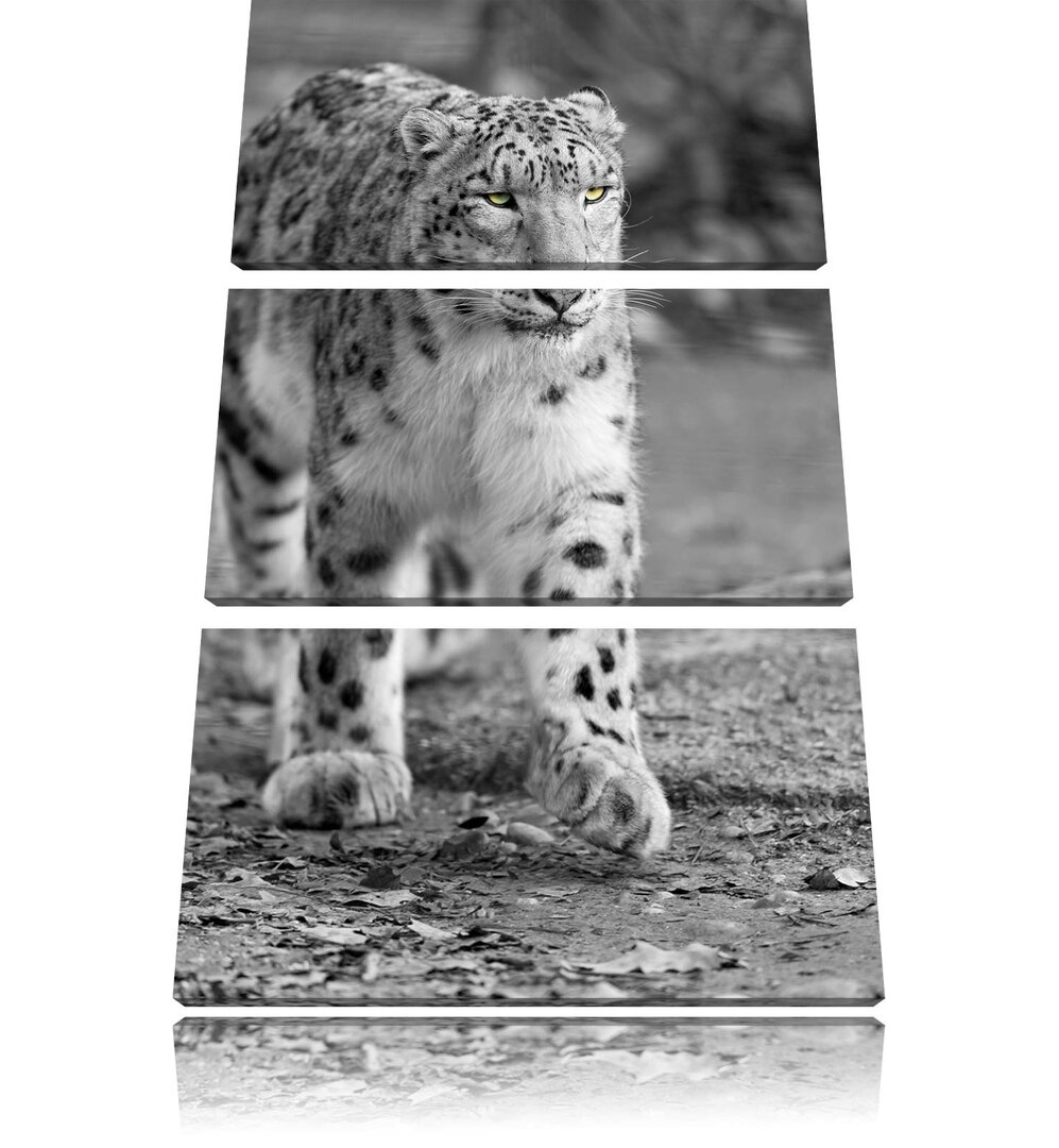 3-tlg. Leinwandbilder-Set „Anpirschender listiger Schneeleopard“, Fotodruck