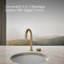 Aquifer4-In-1 Short Arc Beverage Faucet-1316044453