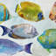 « tropical swim »-sans cadre, reproduction d’art sur toile-1700289615