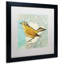 « wilson warbler ii », reproduction d’art sur toile encadrée-13605520-13605521