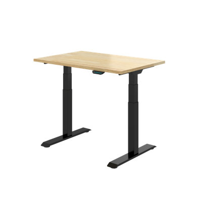 48" W x 30" D Dual Motor Electric Adjustable Height Workbench with Solid Wood Top