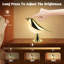 Lampe Pie - champagne-121696869