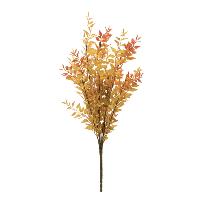 Fall Foliage Bush