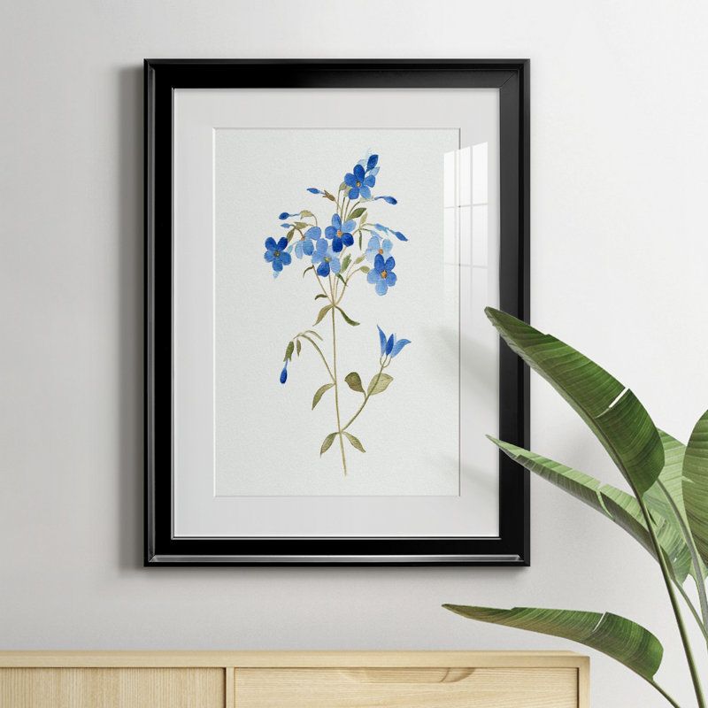 «Blue Blossom Botanical II» - peinture encadrée, H 18,5 po x l 24,5 po x P 1,5 po, Noir