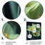 Monochromes jardin glamour jonquilles I - jonquilles murales salon-1058432566-1058432565