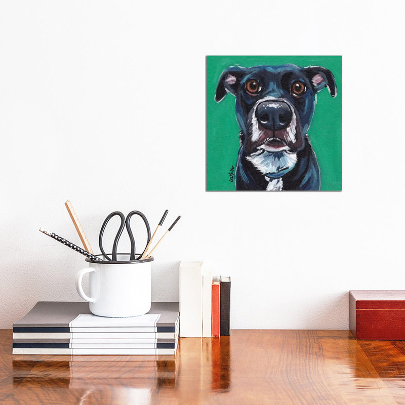 Expressive Dog On Emerald - Wrapped Canvas Print, 30.48 cm H x 30.48 cm W