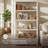 Abydos 75" Bookcase