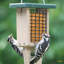 Birds Choice 8" Recycled Plastic 2-Cage Suet Feeder, Yellow-81120566