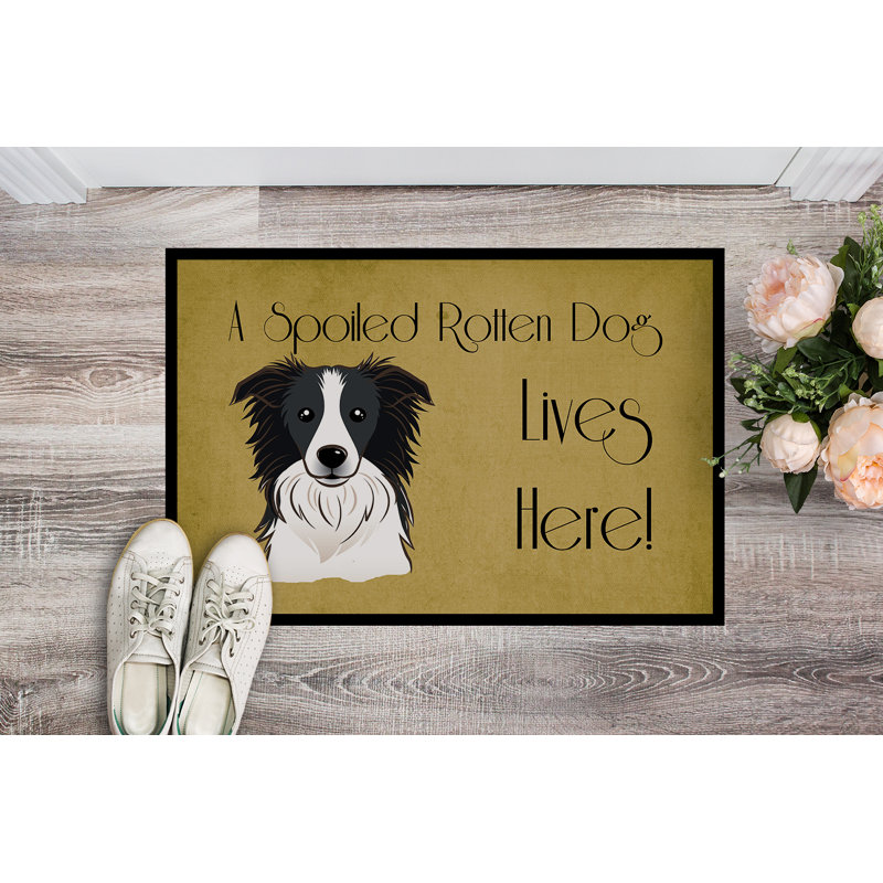 Tapis d'extérieur antidérapant Volga Border Collie, Rectangle 2 pi x 3 pi