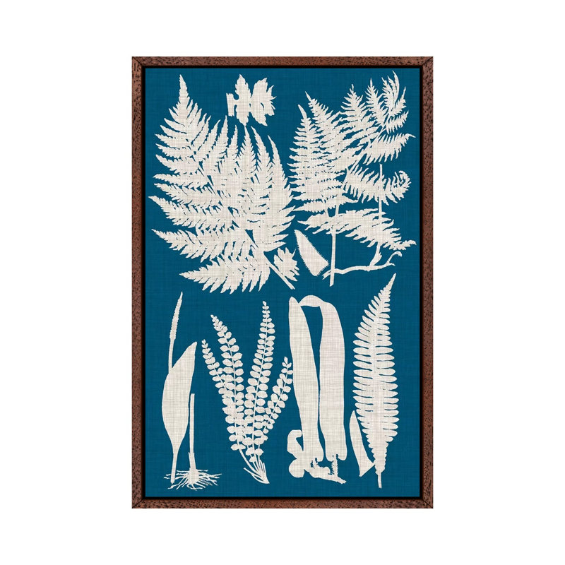 Linen & Blue Ferns I by Vision Studio - Gallery-Wrapped Canvas Giclée on Canvas, 66.04 cm H x 45.72 cm W