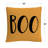 ABC Throw Pillow