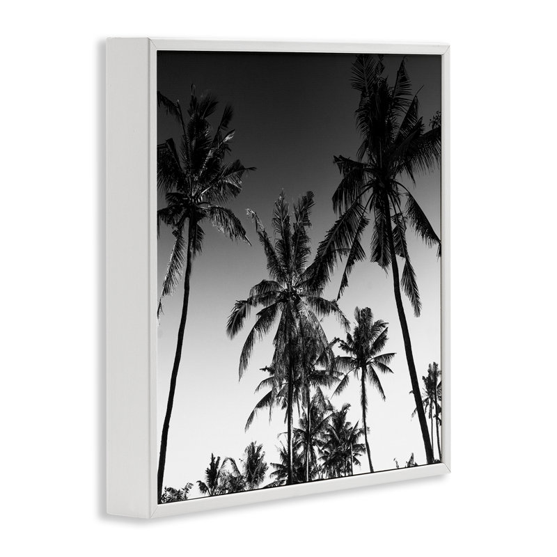 Giclée encadrée Palm Sunset Stark Contrast, design par Danita Delimont, H 12 po x l 12 po