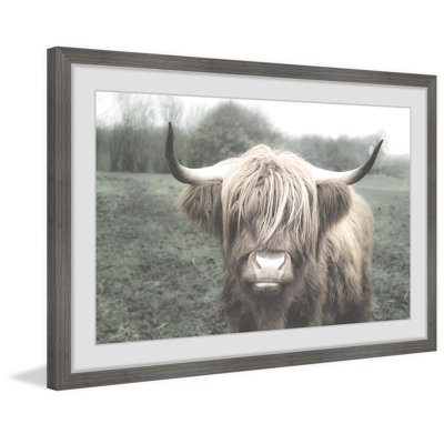 " Shaggy Cattle Hair " by Marmont Hill