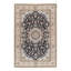 Oriental Area Rug in Navy Blue