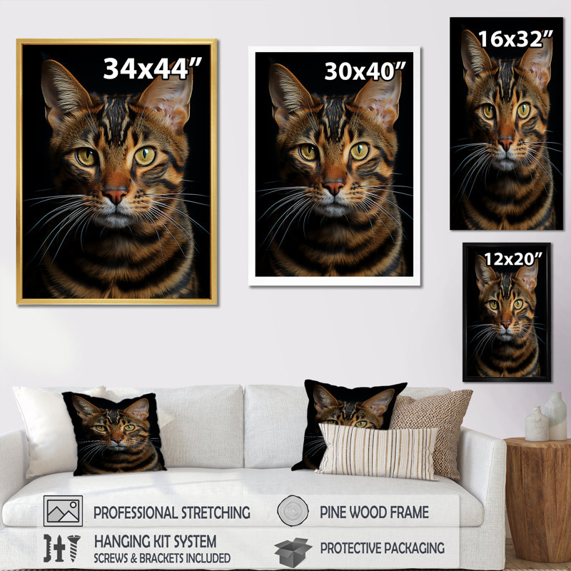Chat, tigre, portrait de chat, H 20 po x l 12 po x P 1 po, Cadre simple argenté