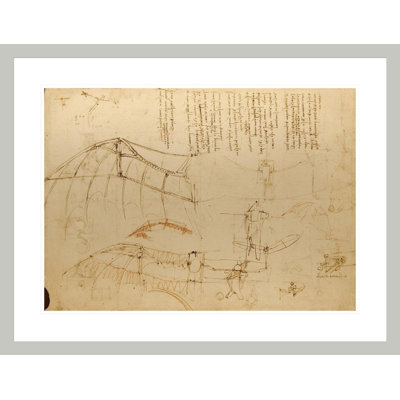 Dessin d'une machine volante avec des ailes qui battent par Leonardo Da Vinci - Impression Giclée sur cadre