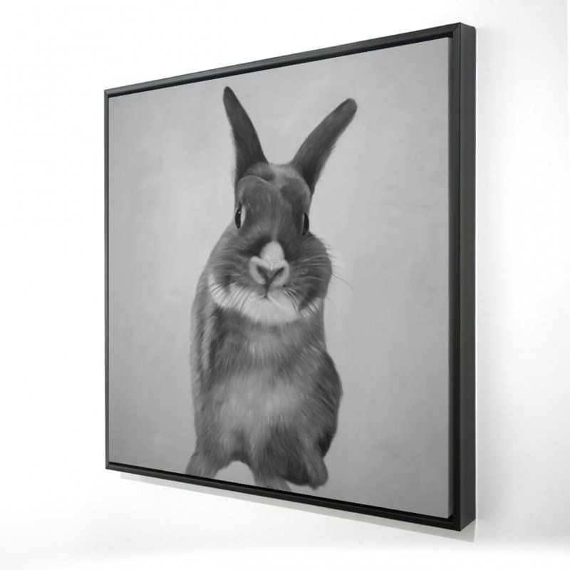 " Funny Gray Rabbit "