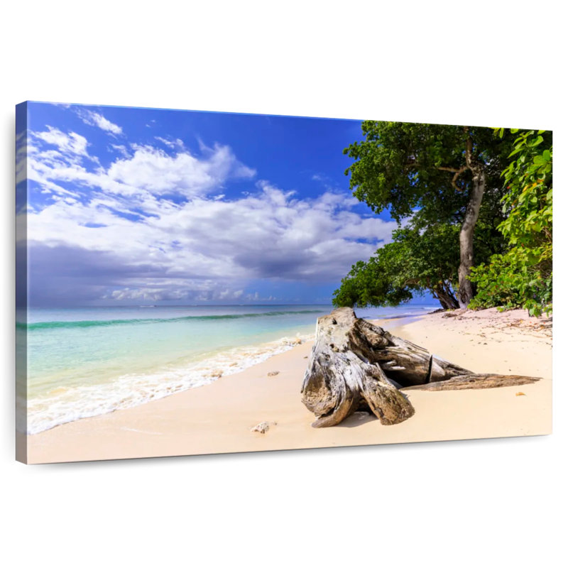 Bois flottant de Paynes Bay Gillard, H 16 po x l 24 po
