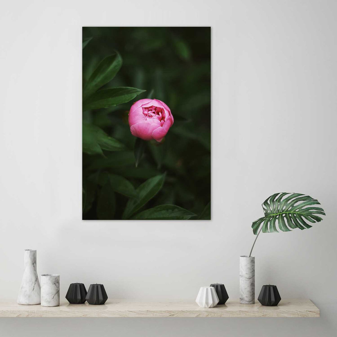 Fotodruck Solitary Pink Peony