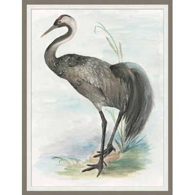Waterbird 4 Print