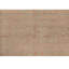 Oriental Area Rug