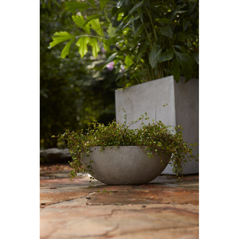 Pot à fleurs Treanor Newport, 15,7 po x 8 po x 6 po