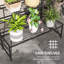 Metal Plant Stand