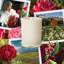 Megeve's Rose Scented Jar Candle