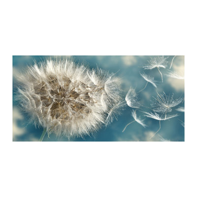 Dandelions - No Frame Print on Canvas