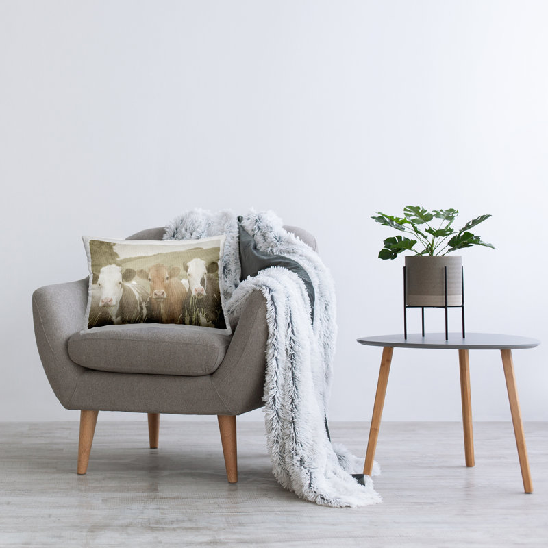  Throw Pillow