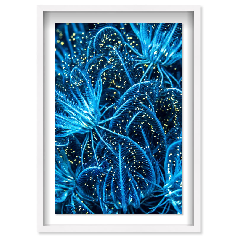 Neon garden Shadowbox Abstract Print by Oliver Gal, Black Frame, 10 x 15, 46.5"H x 31.5"W, White Shadowbox