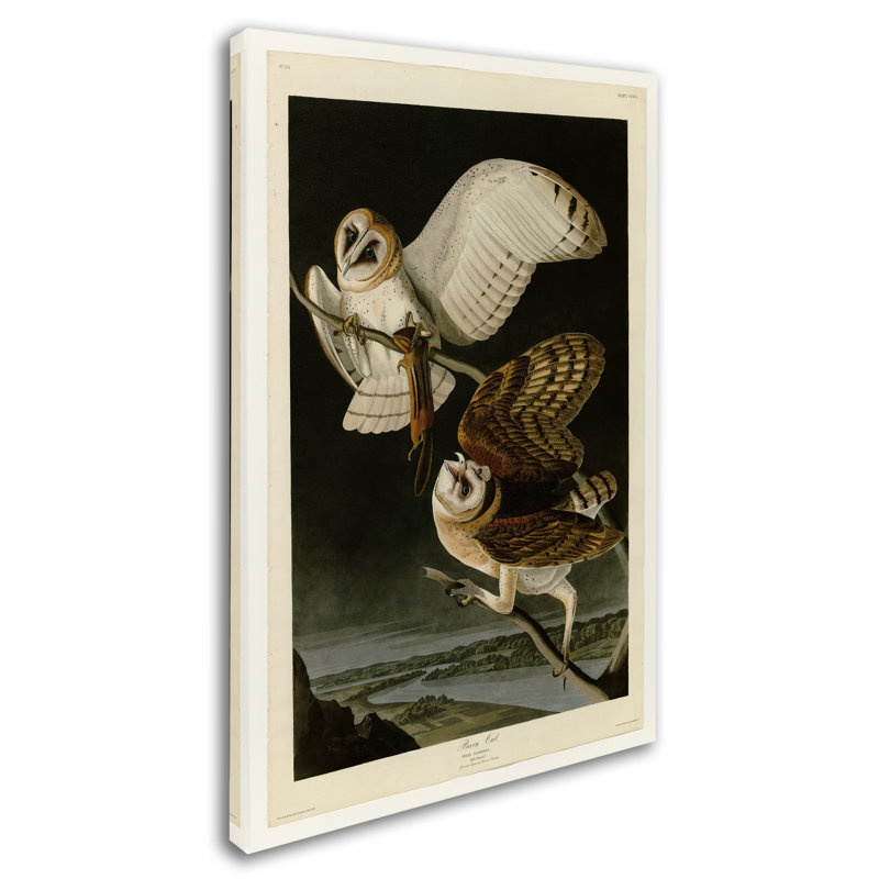 « grange owlplate 171 », reproduction sur toile tendue, H 19 po x l 12 po