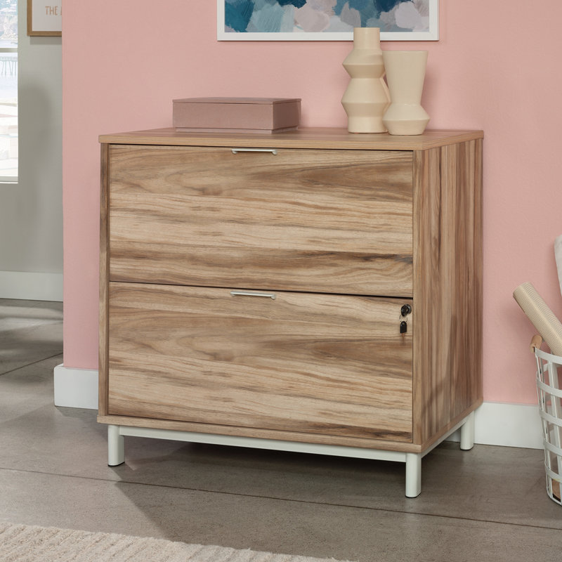 Armoire de rangement pour bureau personnel