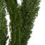 8 plantes