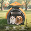 Tente pour chien