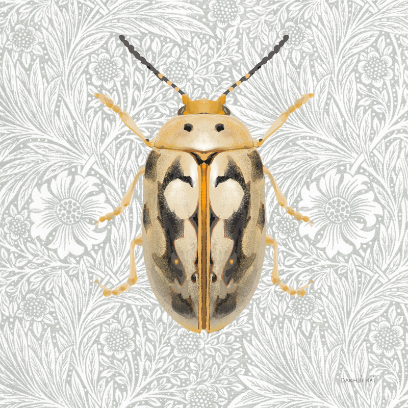 Beetles and Butterflies III par Danhui Nai, H 30 po x l 30 po