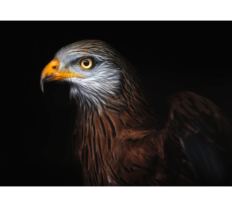 Wrapped Canvas Print, 60.96 cm H x 91.44 cm W