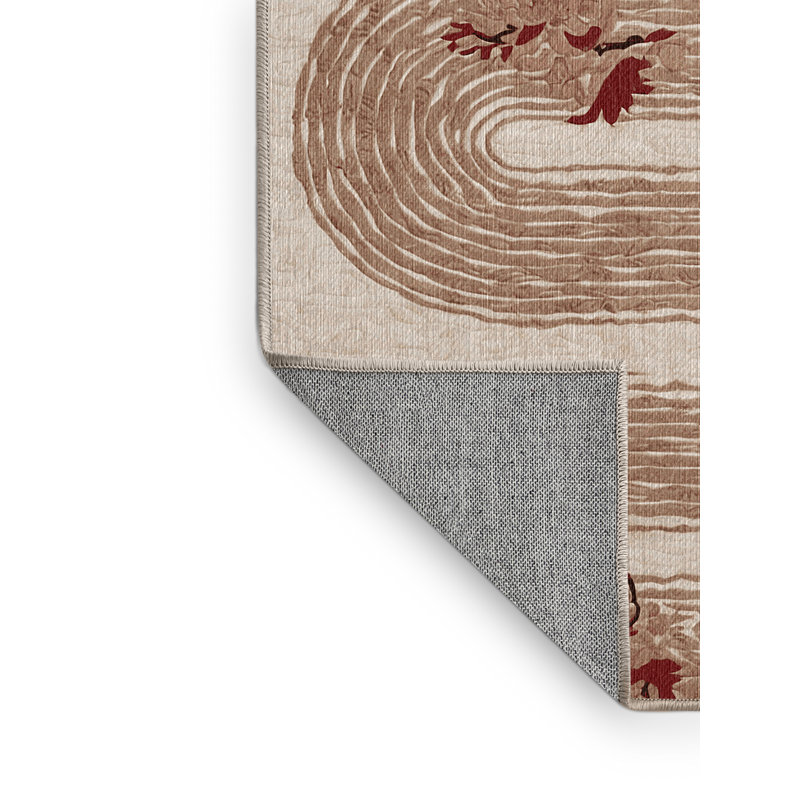 Machine Washable Brown Area Rug, Square 5'