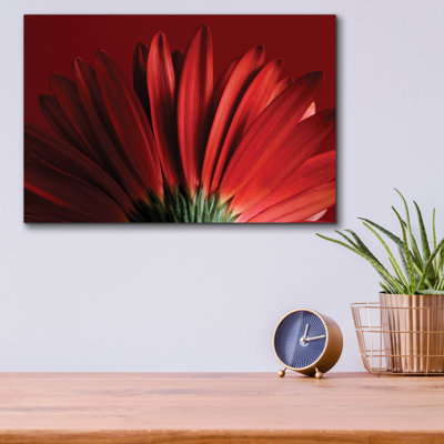 "Red Gerbera On Red 09" par Tom Quartermaine