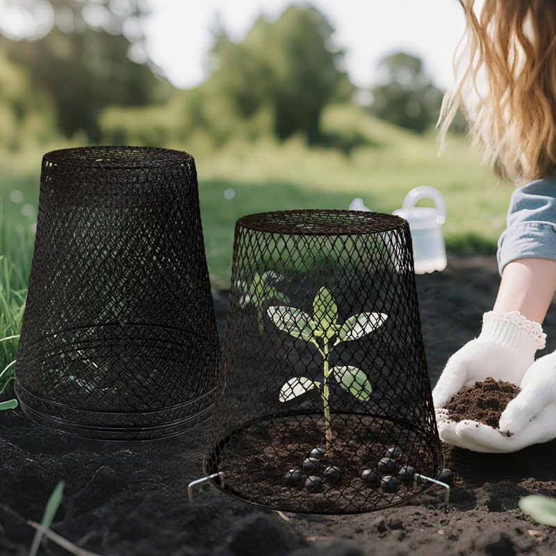 Protecteur de plantes cloche en fer, Paquet de 3