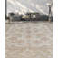 Tapis beige de haute qualité noué à la main Sultanabad